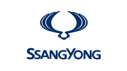سانج يونج brand logo